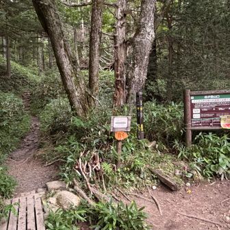 岳沢登山口着
久々に疲れた…😩