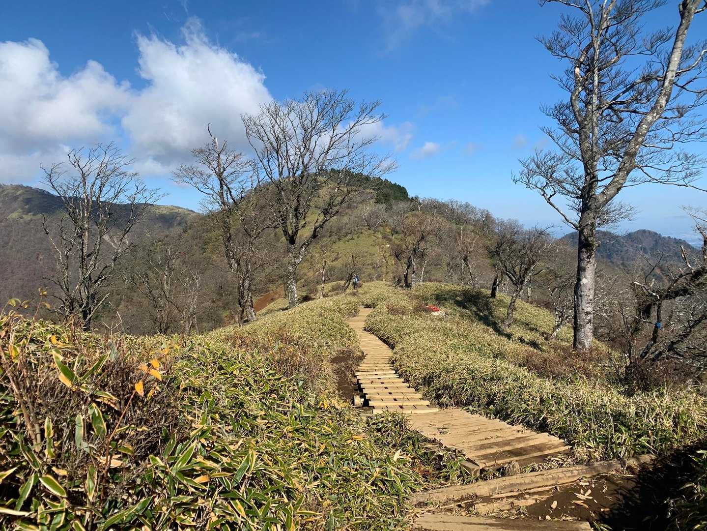 丹沢山に行きます🚶‍♂️