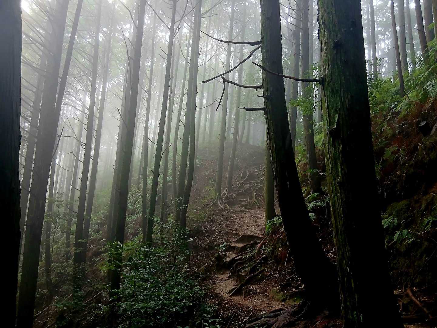 帰る頃にガスが。ちょっとひんやりとして、良い気持ちです。