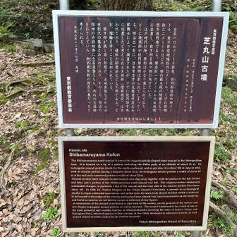 芝丸山古墳の解説🤔
✳︎順路は逆の方が良かった