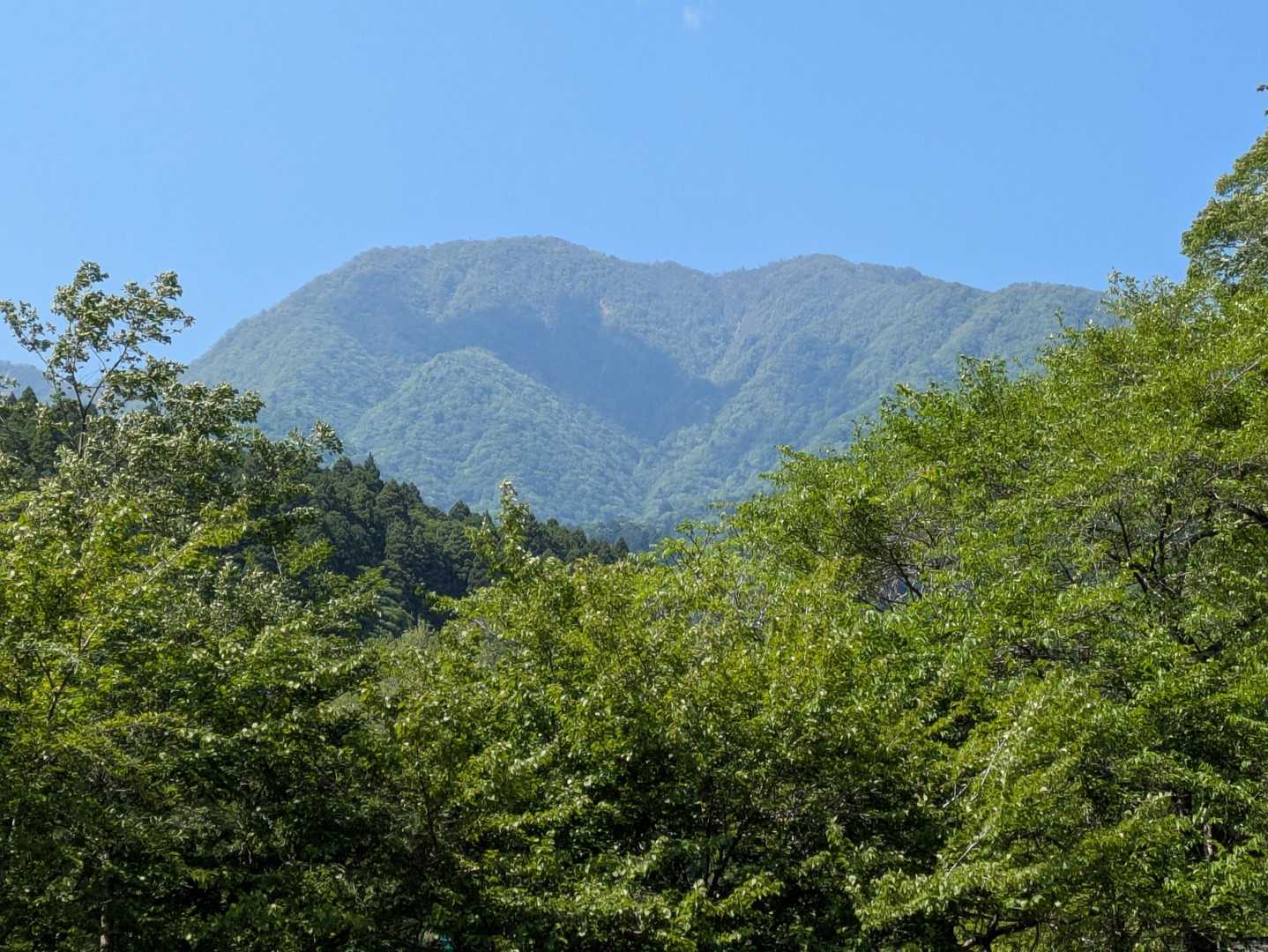 畦ヶ丸🍀このままずっとこの時間が続いてくれたらと思える道でした🐸　そして西丹沢はいつか🚙あのすれ違い難の道を運転出来るようになったら一人ででも来たいです😆
