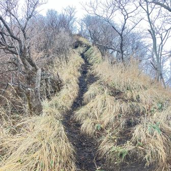 頂上手前の泥道の急登が難所です
下りは服が汚れて構わなければおしり着いて降りてもよいかも