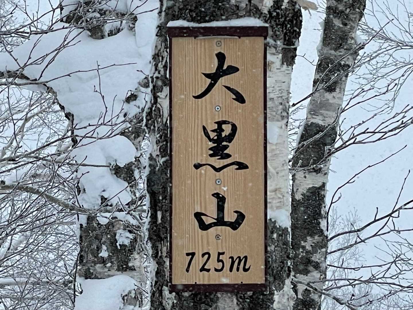 登頂❗️