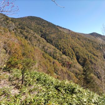 コイノコに戻る途中。振り返って経ヶ岳の紅葉