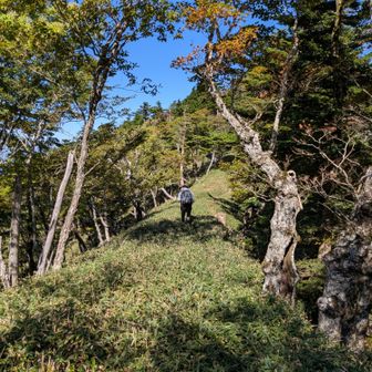 ここで初めて人に会いましたぁ😆立ち話をして、後ろから📷

「柏木」から上って来たそうです💦「山上ヶ岳」まで行ってピストンと仰ってました。
２０ｋｍ越えのロングトレイルになるんじゃないかな😨
