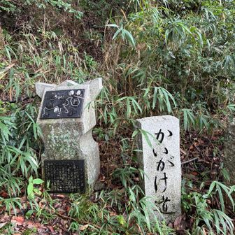 下山
