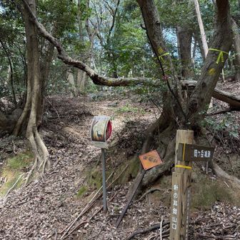 針の耳登山口スタート