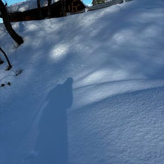 ちゃんとしたお母さん
姫の迎えに遅れる　笑