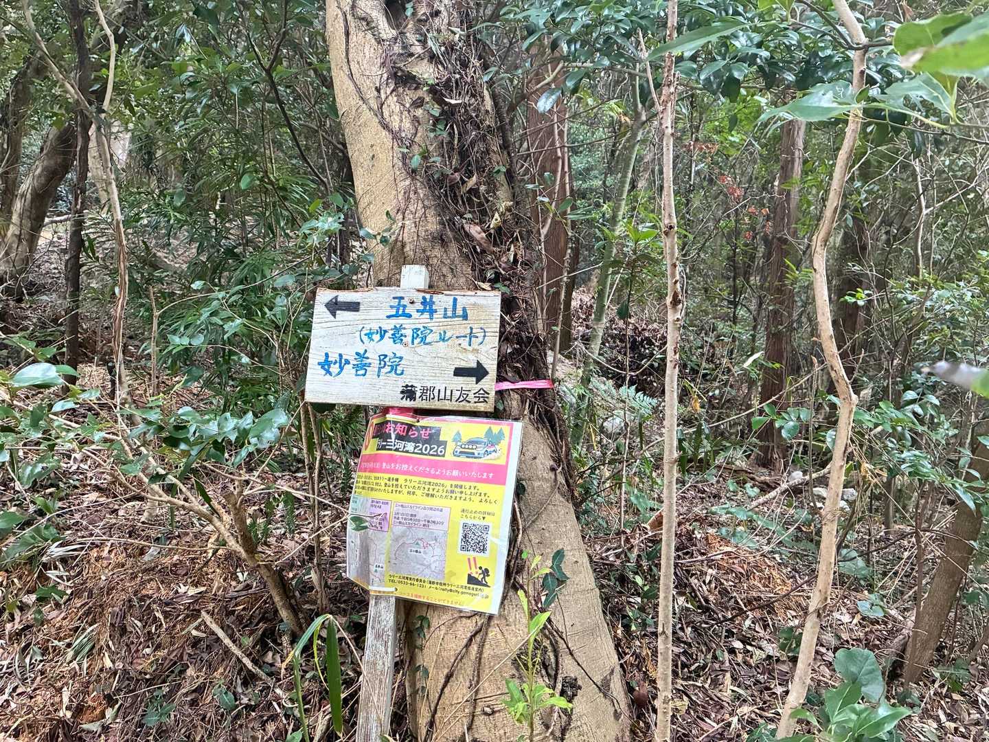 愛知の130山の一つ⛰️
蒲郡市の妙善院ルートからスタート！