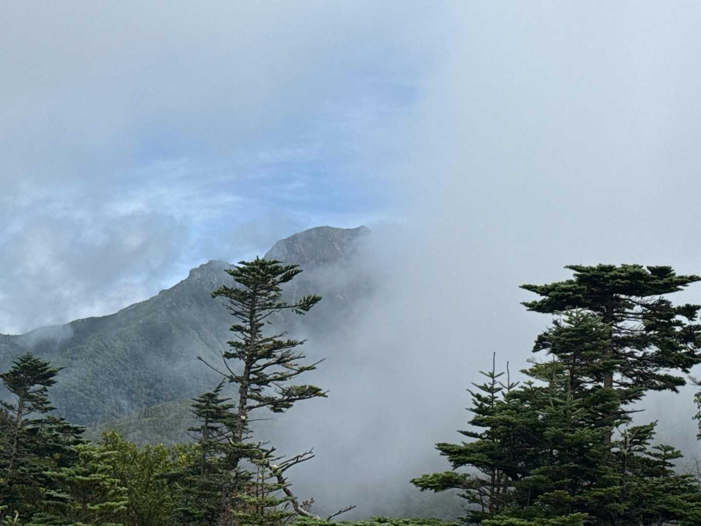 明るくなってきたからワンチャンスあるかも！と思って烏帽子岳目指してみる事にした
水場との分岐で📷
この後、少し進んだけどガスガスに戻ったので諦めてテン場へ戻りテント撤収
これが2日間で最高の1枚😭