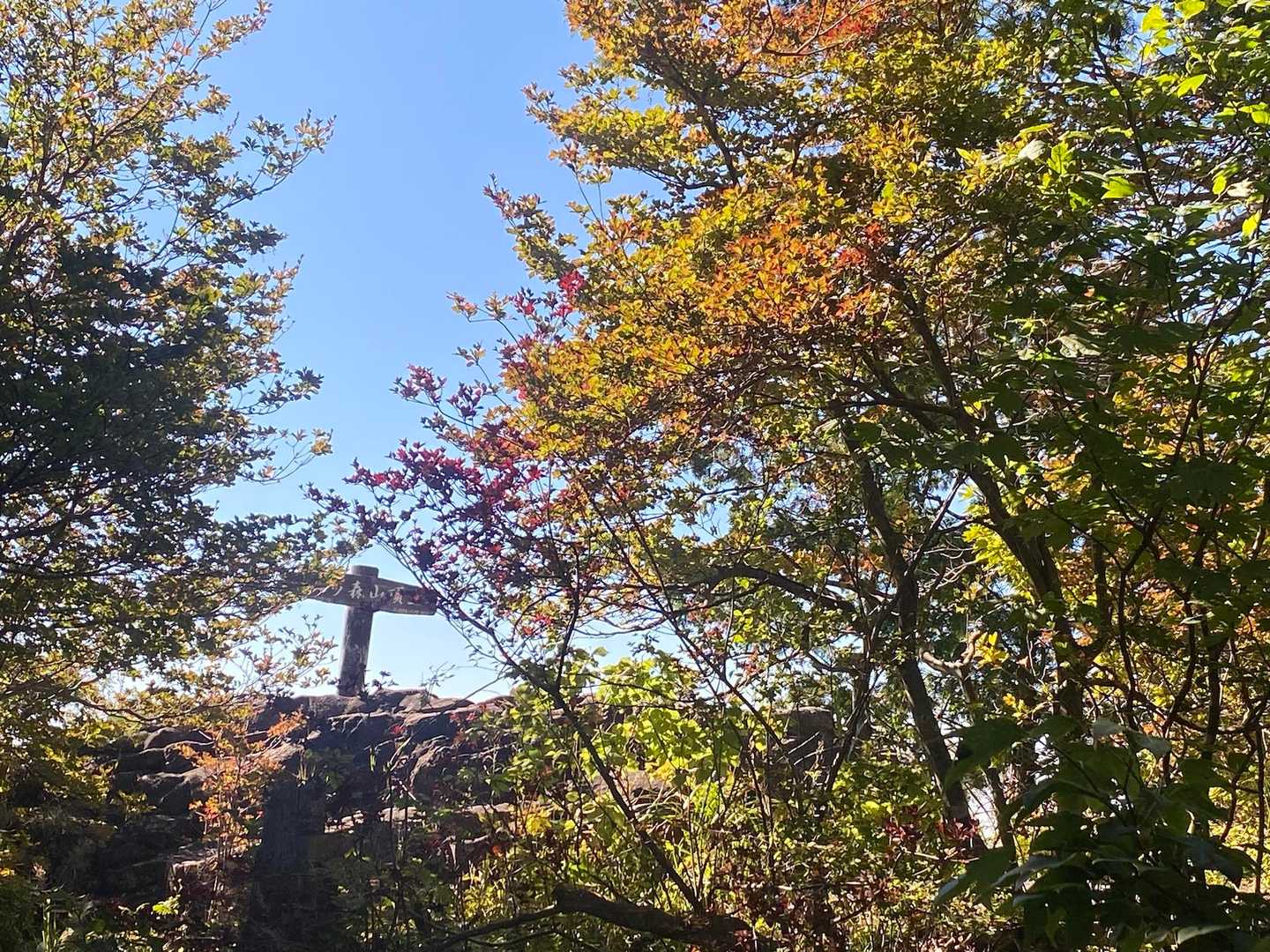 山頂付近は少し秋めいてきた