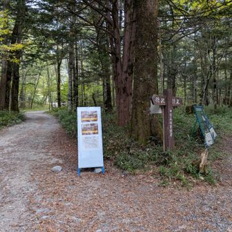 パノラマコース分岐