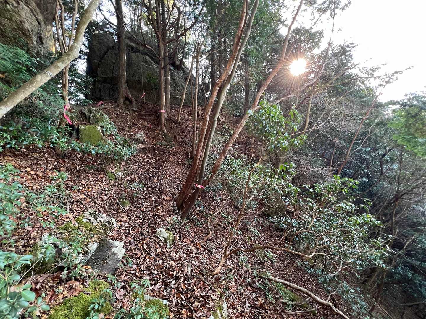 前から下山して来たkidsに
　「遅かったやん」 って言われちゃった🤣
　　オバチャン遅くてゴメンよ〜笑笑