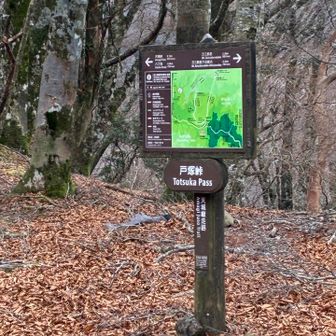 こちらにあるベンチでご馳走ランチをいただきました😋