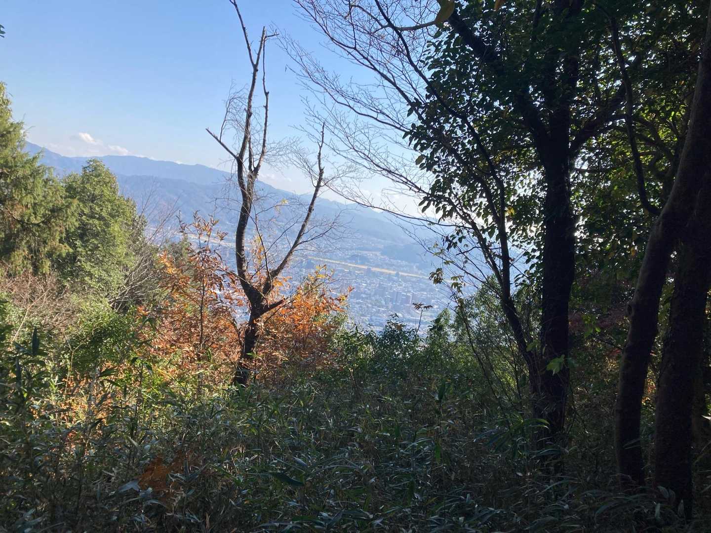 馬返しから。