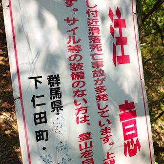 前日の事です
ここより少し上でハイカー風の男女三人組の1人から
「質問よろしいですか…」
と

直感ですぐにピーン💡 ̖́-ときまして😊
「大丈夫ですよ、(私みたいな)こんな格好しなくても稜線までは行けますからそこで鎖の様子とか見て判断すればいいかと思います」

そしたら察しがよすぎたのか
「そんなつもりは毛頭ないんですけど…」
と仰ってるその身体は完全に前のめりで😆︎‪💖
「どのくらい時間かかりますか？」(行く気満々やんか🤭‎)
「10分少々だと思います、お気を付けてー」

ってその後お三人さん
「10分少々なら行ってみよっか」
って口々に上に向かったんですよ…

前置きが大変長くなりました🙇”
で、今日はその
【じゅっぷんしょうしょう】
の妥当性を確かめるべく質問お受けしたところから縦走路末端(コル)までの時間を計りました

結果は13分でした
‪_(；˙꒳​˙ )_ｾ､ｾｰﾌ‬



じつはかなりとばしt…💦