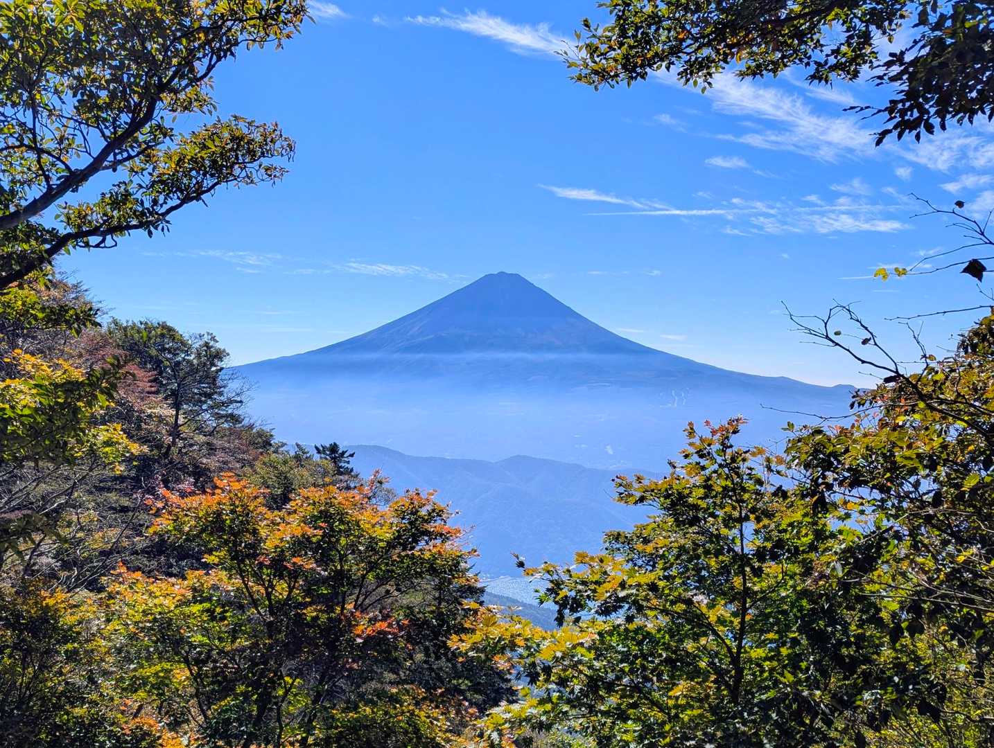木々の間から見える富士山って特別感あるね🌟