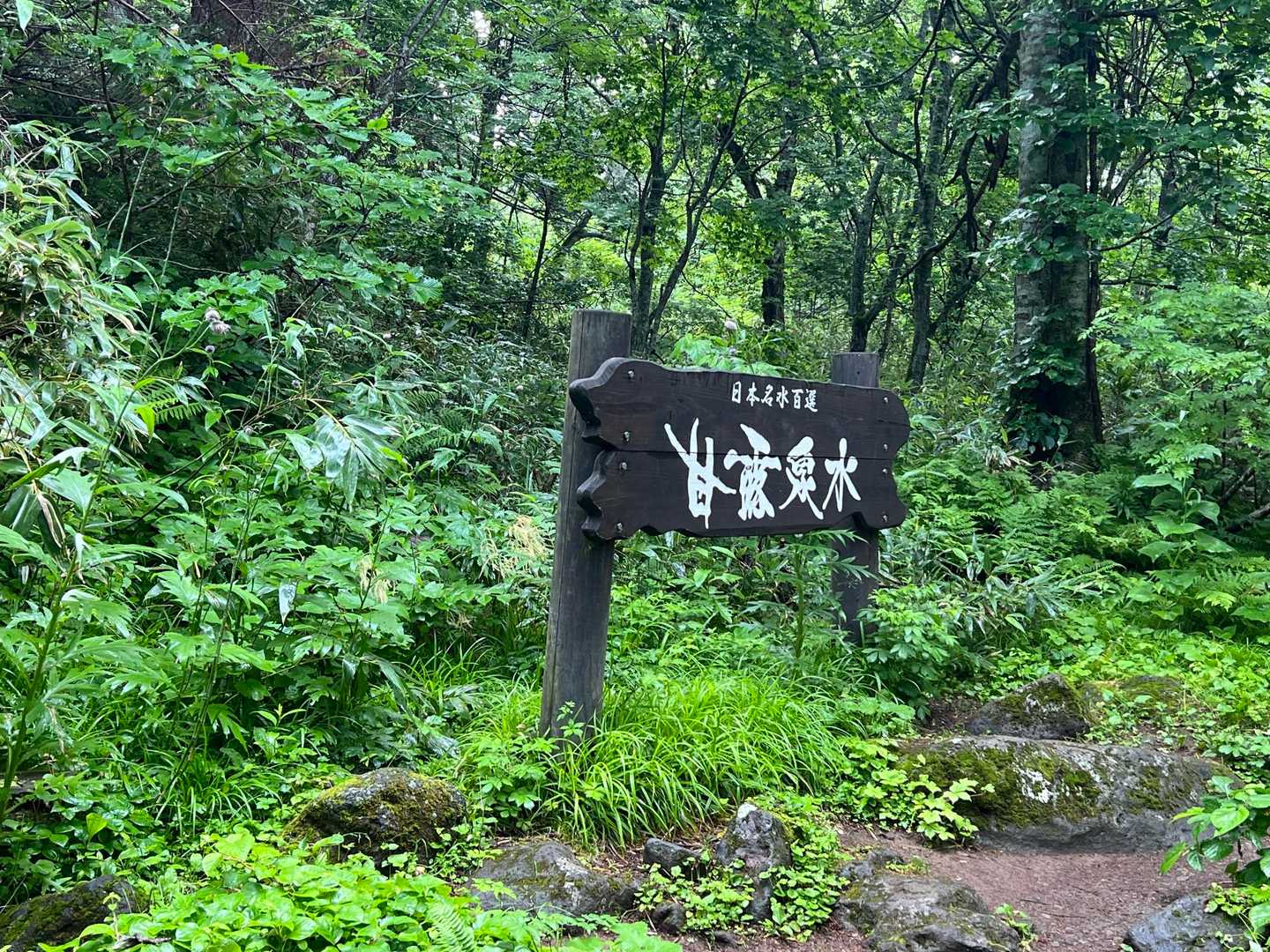 利尻北麓野営場登山口 往復コースの写真