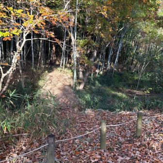 前回取り忘れたピークへ
ここが取りつき