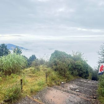 相模湾も雲海の下