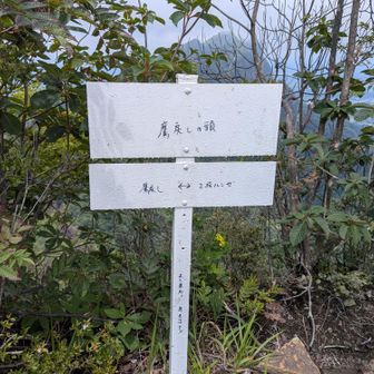 鷹戻しを登りきったところに看板があります。2段ルンゼへ