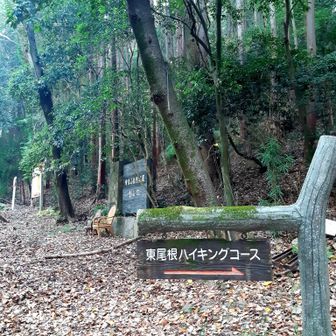 いつも通りに東尾根コースから登ります。