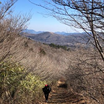 奥の山は、さっきまでいた平尾山ーーーー🎶