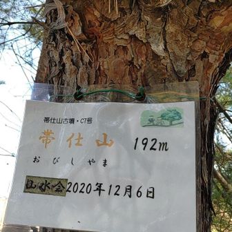 一方こちらは…
帯仕山(おびしやま)192ｍ
三好山と対になってる感じだったので寄ってみました。
道暗くて少しだけ荒れた感じ？
いや…三好山の後だからそう感じるだけかも？
すぐ後ろの崖下は住宅街で眺望なし⤵️