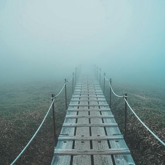 つるぎ名物　幻想的な木道。