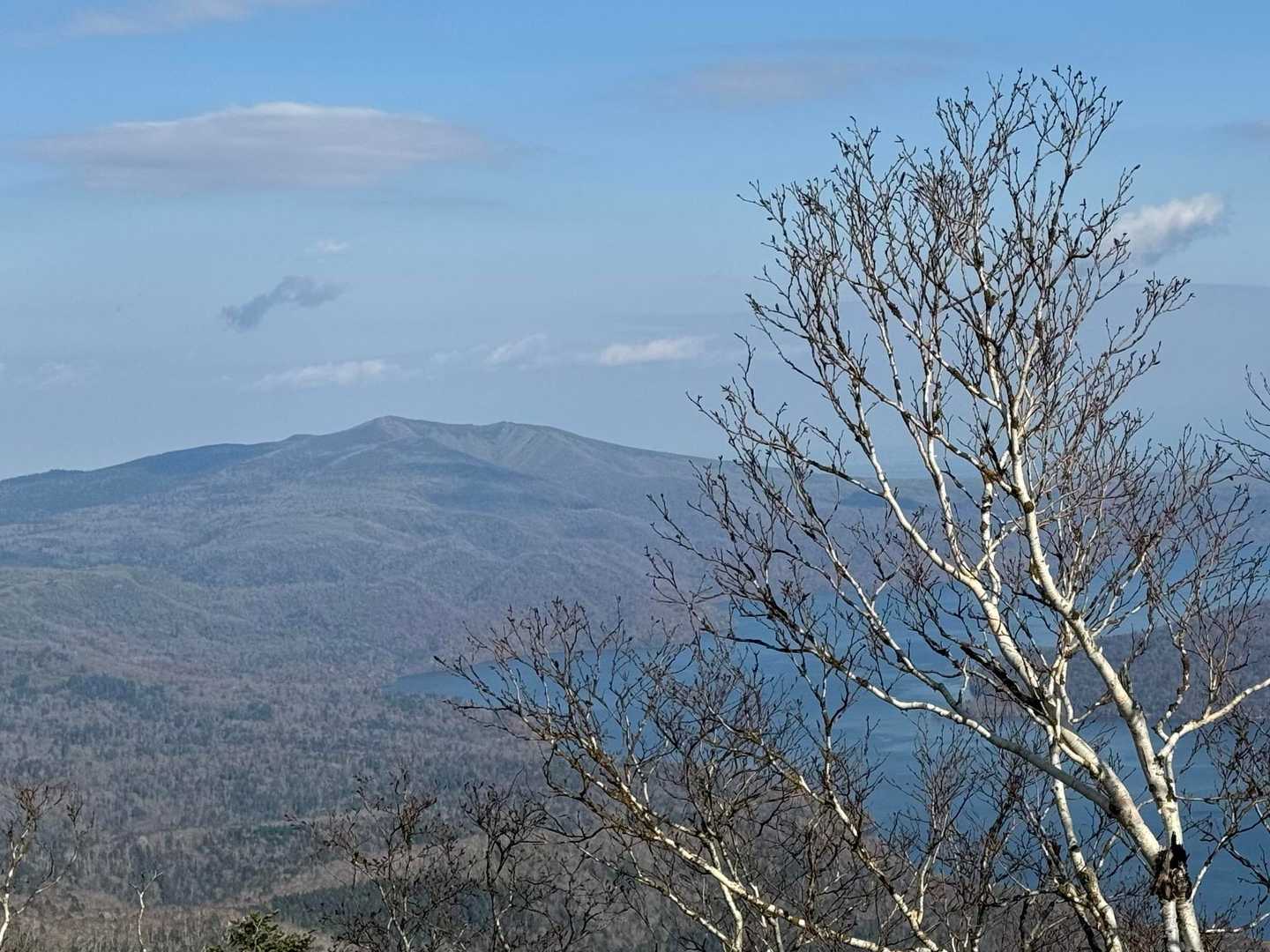 藻琴山も見えます