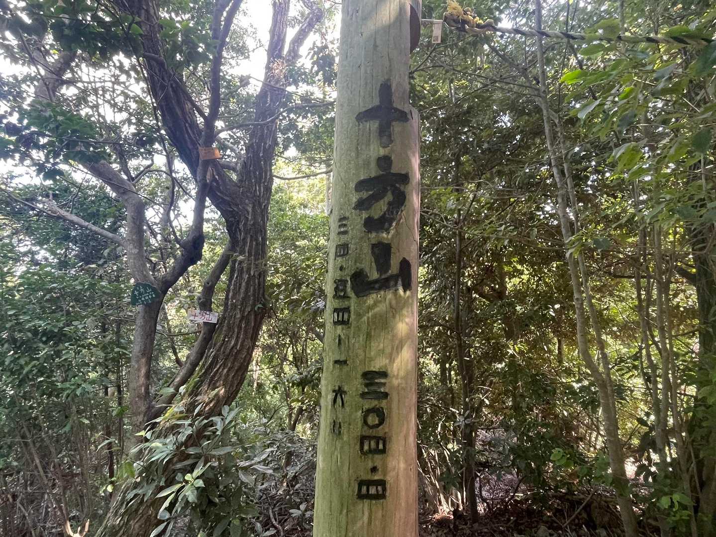 3つのピーク間は
アップダウン少なくて歩きやすかった♡