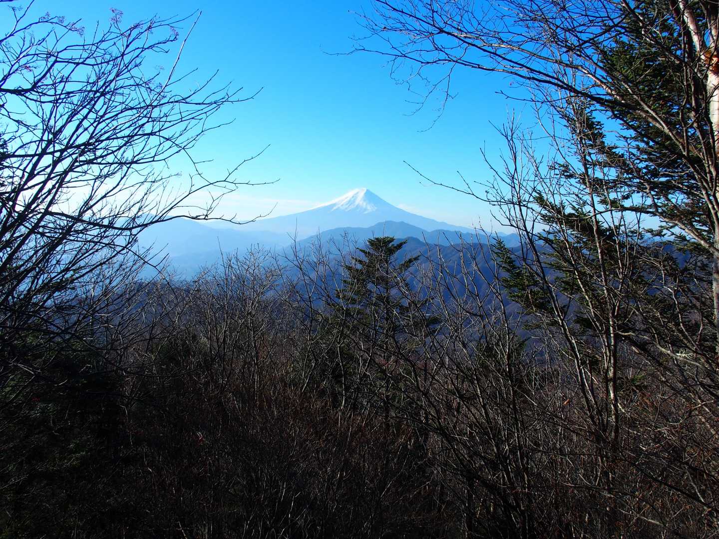 ここで遮るものがない富士が見えました