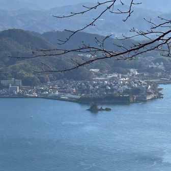 ターナー島も🏝️