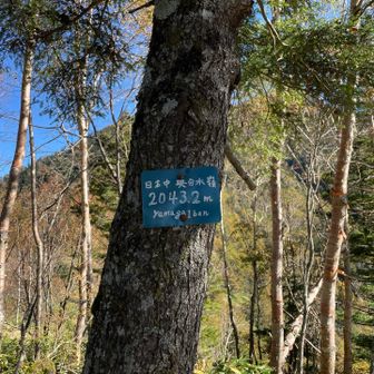 三角点