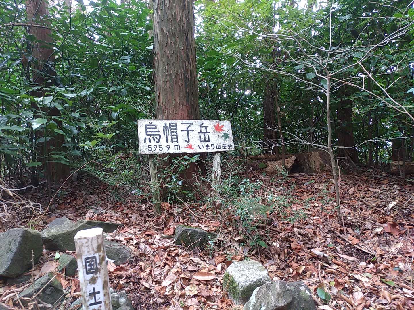 山頂らしき所から少し下った所にありました😊
いまり山岳会さん