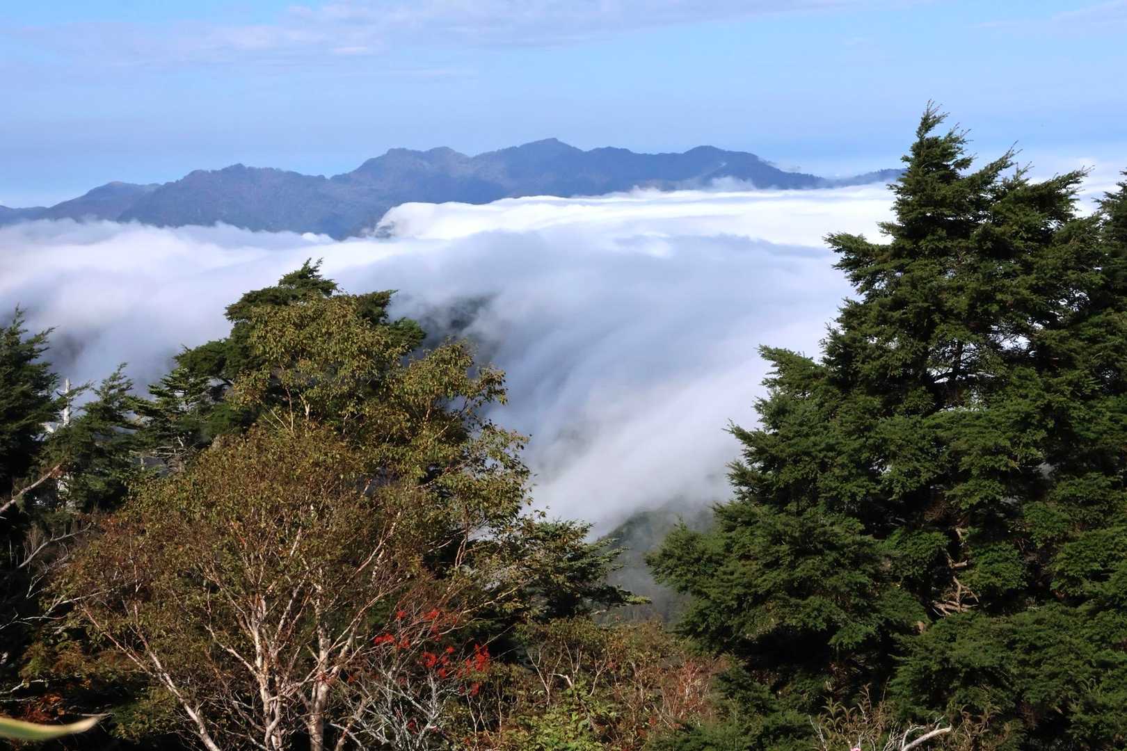雲海〜🎶