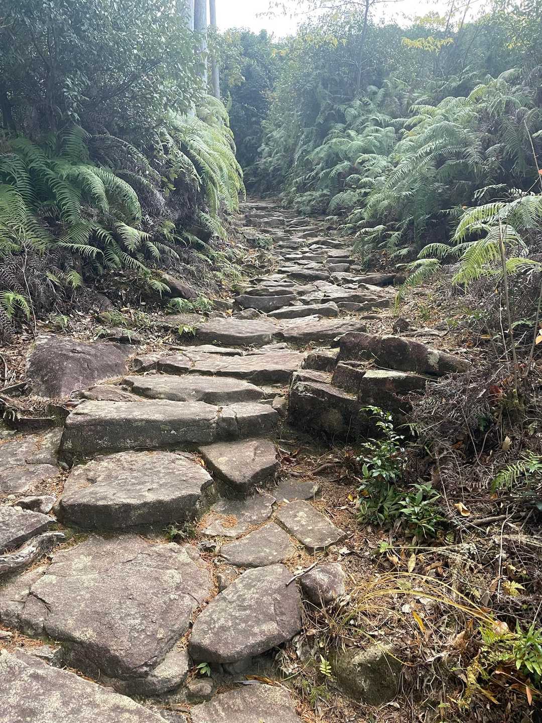 大きな岩を上手く敷き詰めている