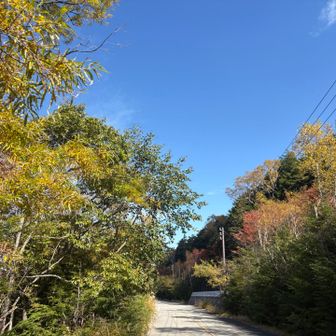 最後の車道歩き🚶‍♀️