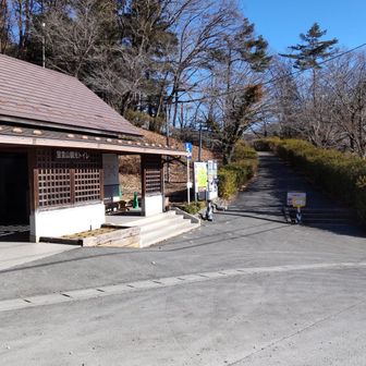 下まで降りてきた
誰もいないと思ったら昨日今日とロープウエイが休止でした