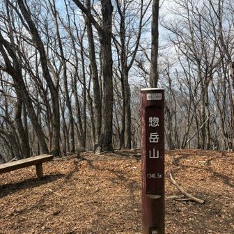 御前山はここからもう少しだけど、休まずにはいられない