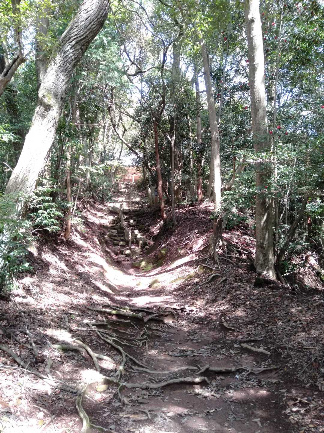 チラリと見えてる