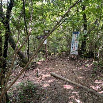 今は左のチャレンジコースに行くしかないです
ザレてたりロープ場あったりなかなかきつい