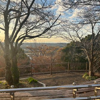 写真の真ん中に写っているのは大島ですかね〜。