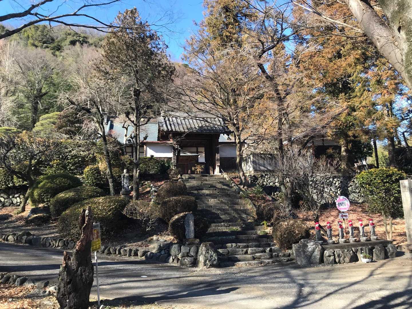 ってな訳で、ドーンと長厳寺