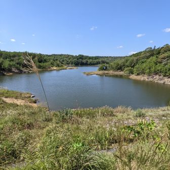 龍吟湖