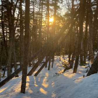 鳳凰山・地蔵岳・観音岳・薬師岳 さぁ、戻って高谷山⛰に寄ろう