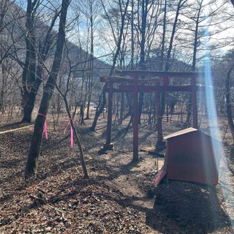 またまた鳥居⛩️