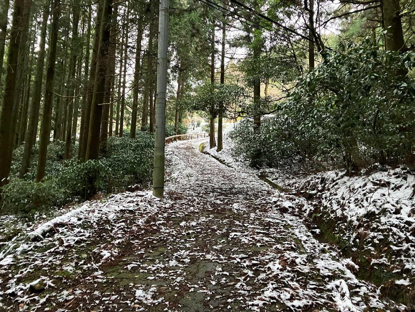 米ノ山 往復コースの写真