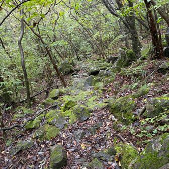 水沢山からここまで誰にも会わず
