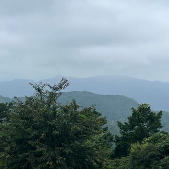 どんより丹沢方面